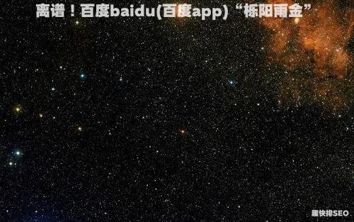离谱！百度baidu(百度app)“栎阳雨金”